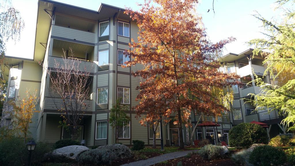 Plaza & At Creek Ashland